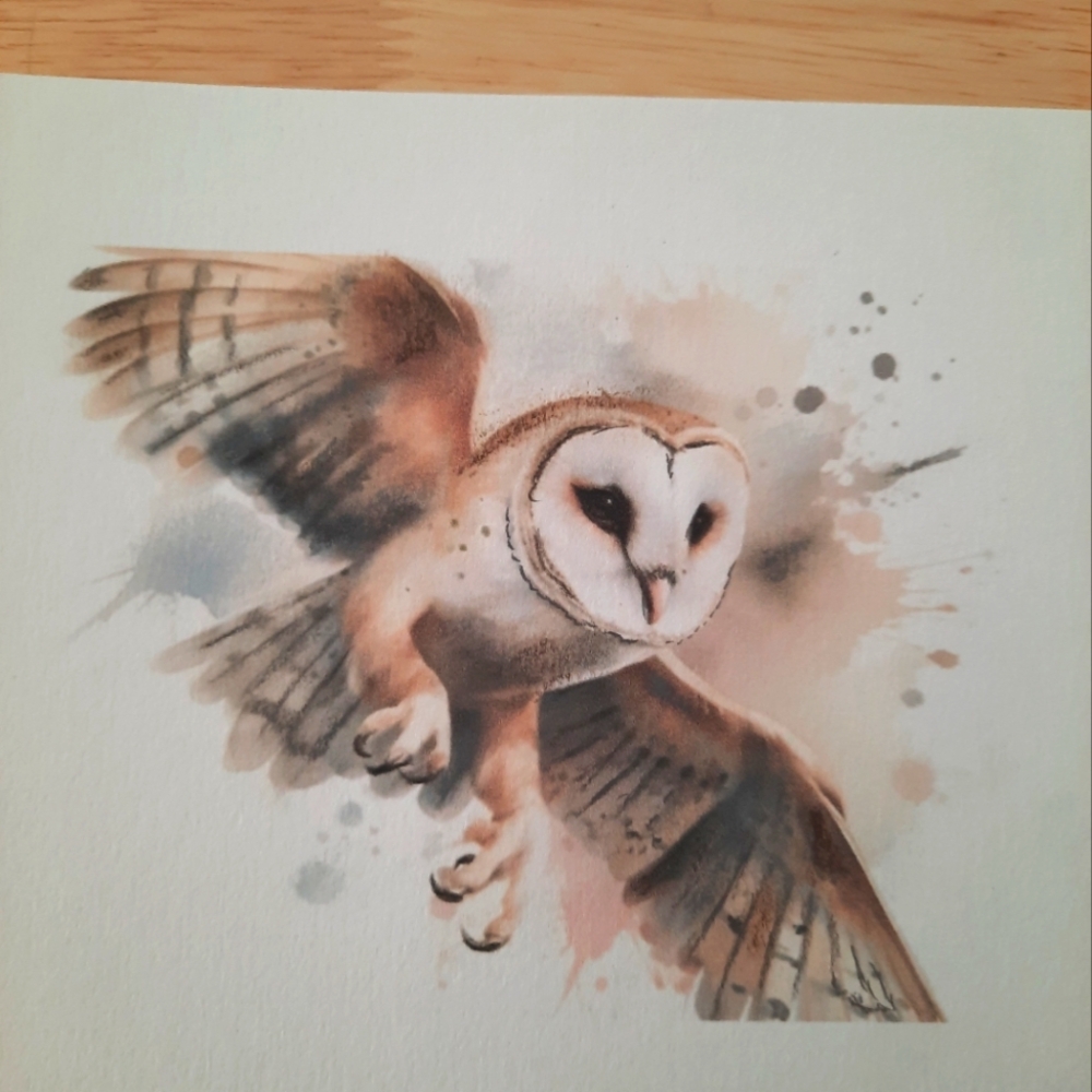 3 for 15$  Hand Drawing Art - 4 X 6 With Enveloppe - Handmade Card